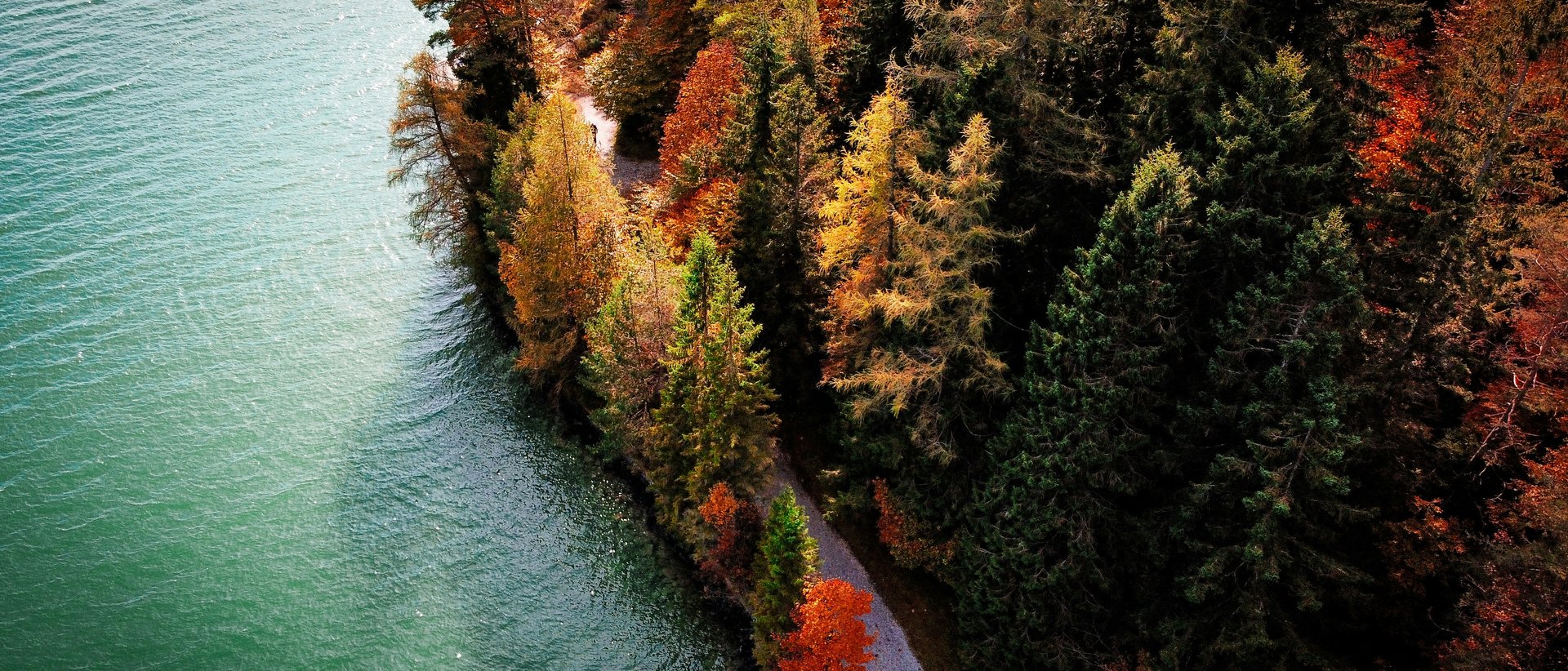 Goldene Wälder, klare Bergsicht: Herbstwandern in Pertisau Herbstlicher Waldweg am Ufer eines türkisfarbenen Sees