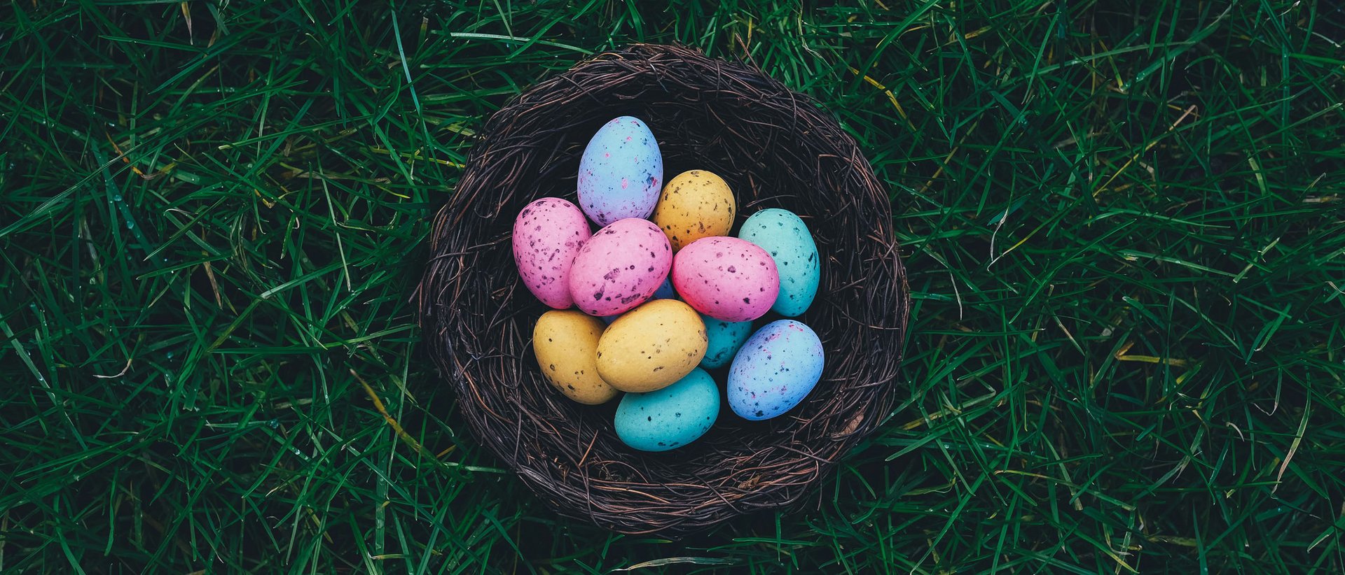 Osterbräuche aus Tirol Nest mit bunten Ostereiern auf grünem Gras