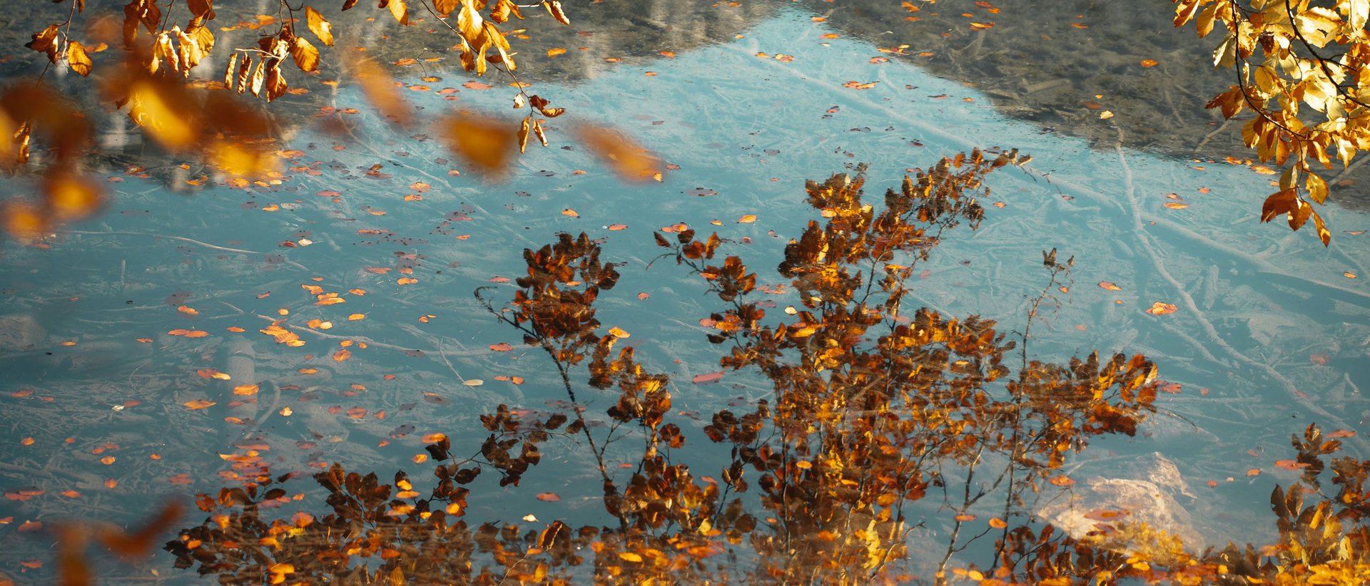 Herbstausflüge am Achensee Herbstliche goldene Blätter über einem ruhigen See mit Sicht auf Wasser und Laub