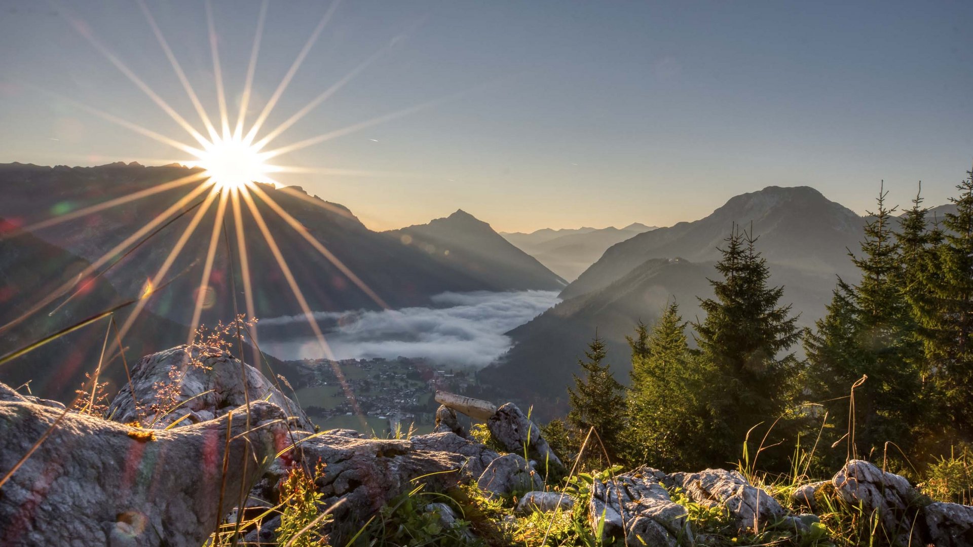Sunrise over mountains with valley fog and pine trees in the foreground
