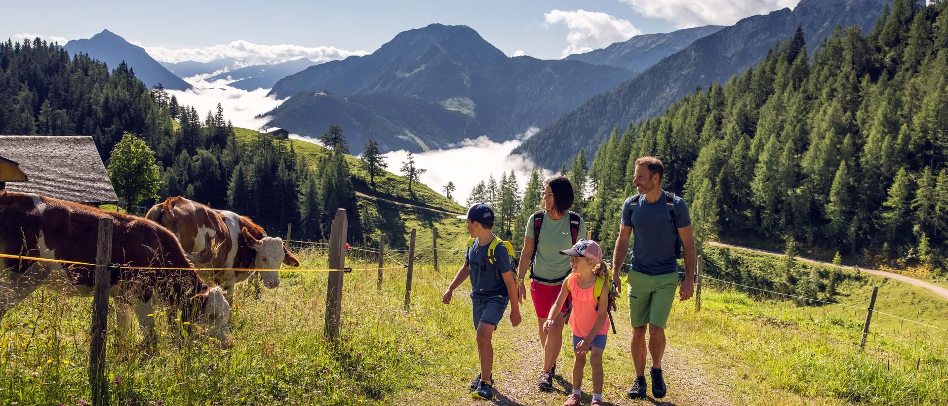 Ein farbenfrohes Fest Familie wandert auf Bergweg neben Weide mit Kühen in sonniger Alpenlandschaft
