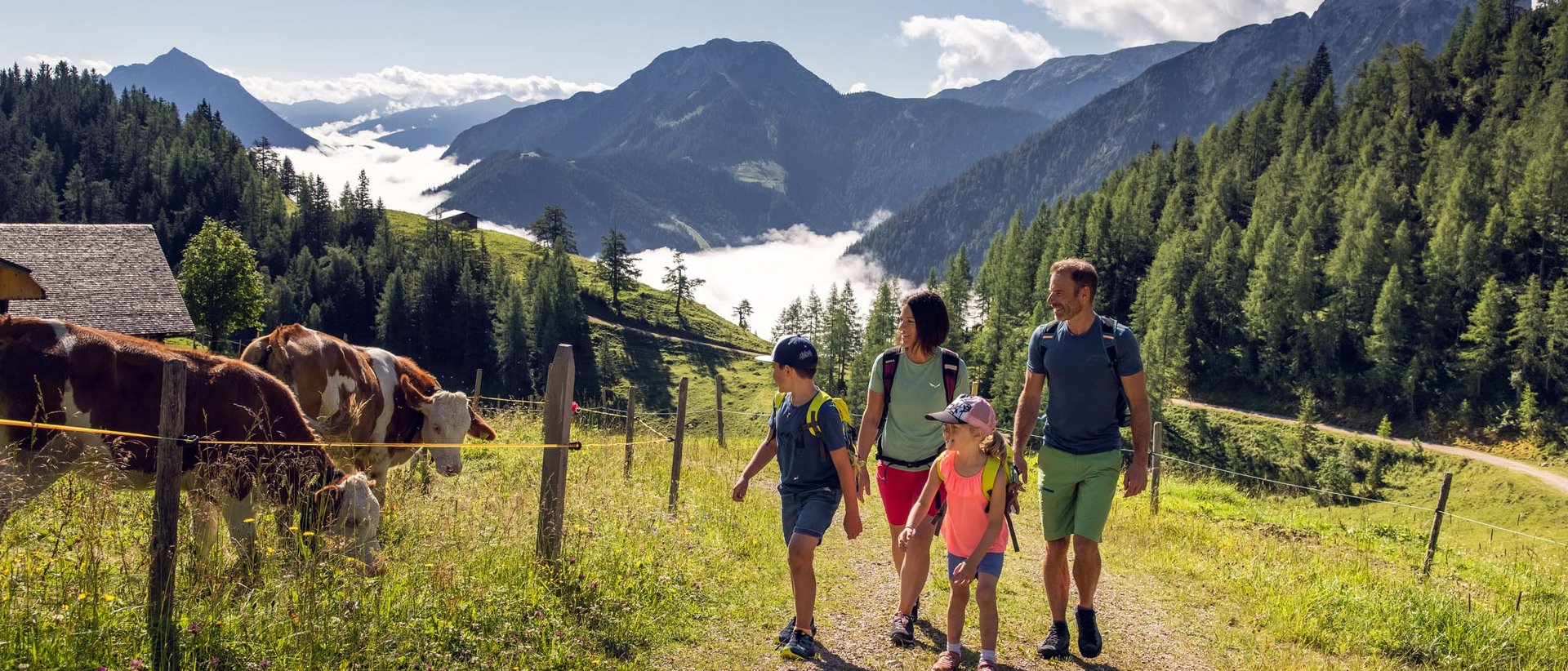 Ein farbenfrohes Fest Familie wandert auf Bergweg neben Weide mit Kühen in sonniger Alpenlandschaft
