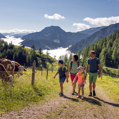 Verwöhnhotel am Achensee: Neuigkeiten Familie wandert auf Bergweg neben Weide mit Kühen in sonniger Alpenlandschaft