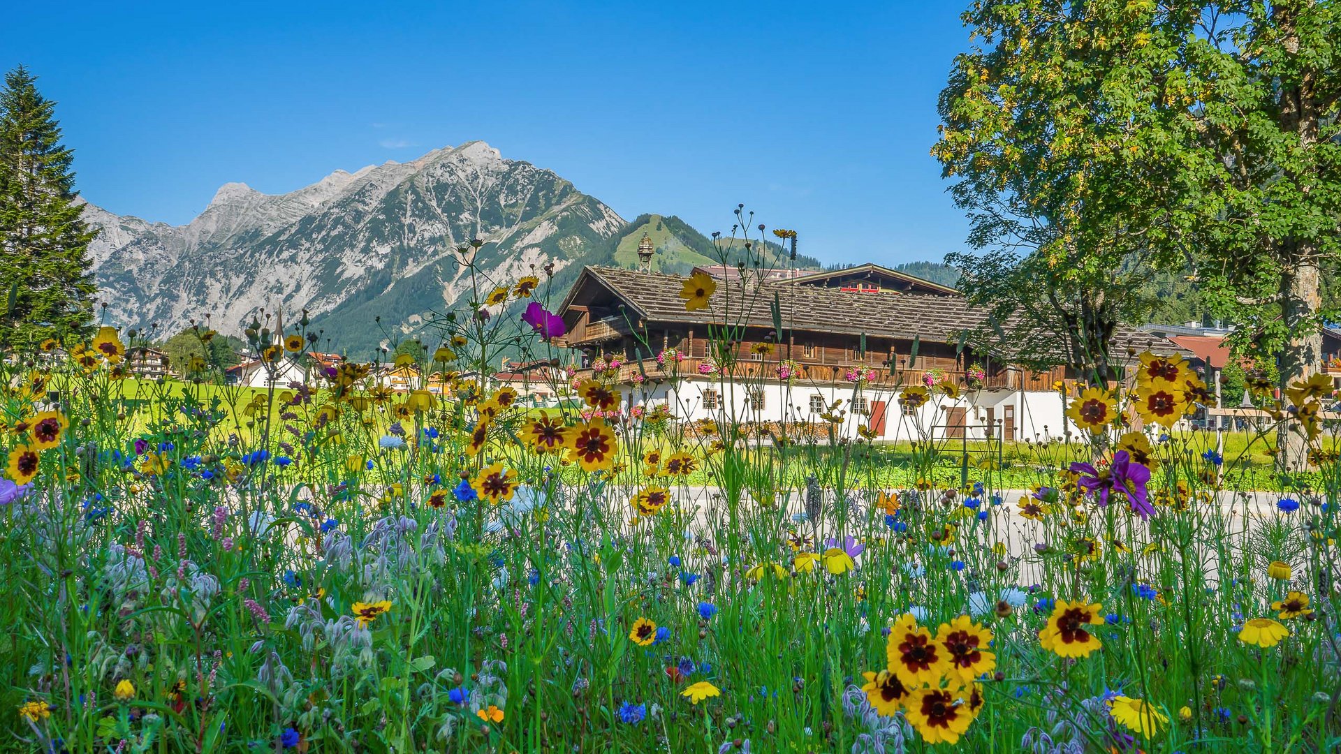 Hotel Karlwirt in Pertisau = Umweltliebe Bunte Wildblumenwiese vor traditionellem Haus und Bergkulisse bei klarem Himmel