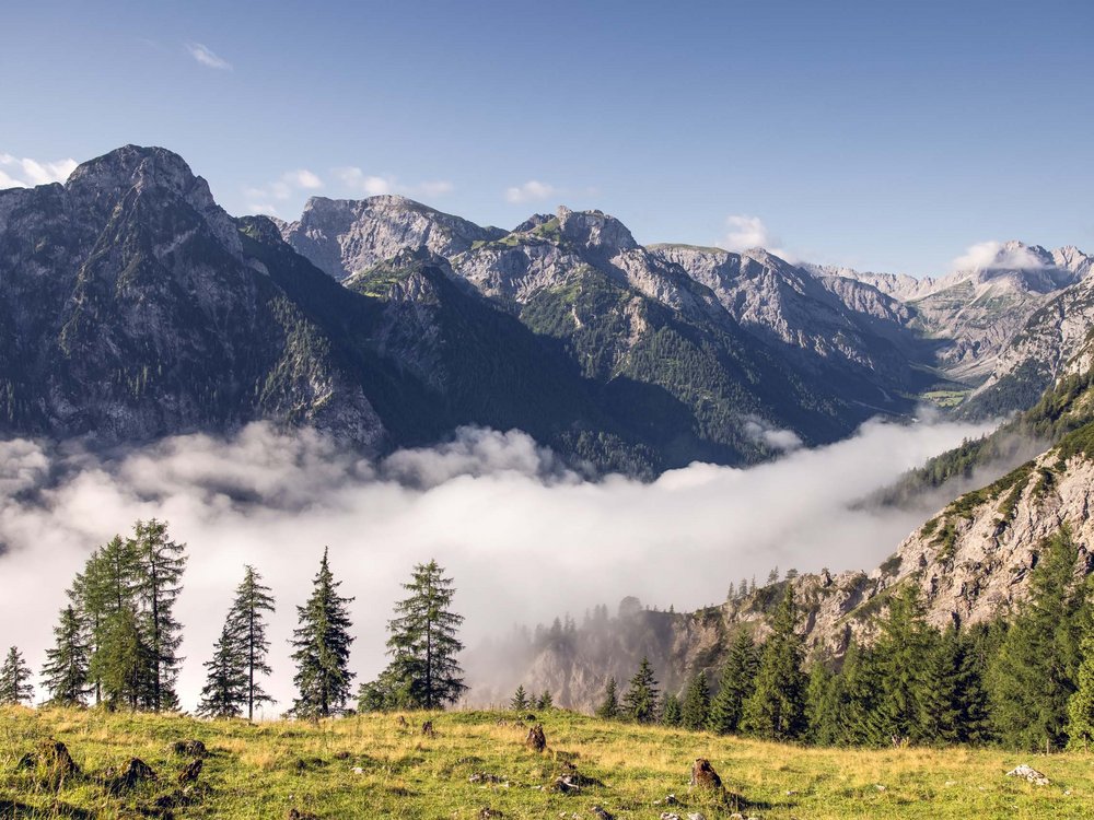 Hotel Karlwirt in Pertisau = Umweltliebe Berge mit Nebel im Tal und grünem Wald im Vordergrund bei klarem Himmel