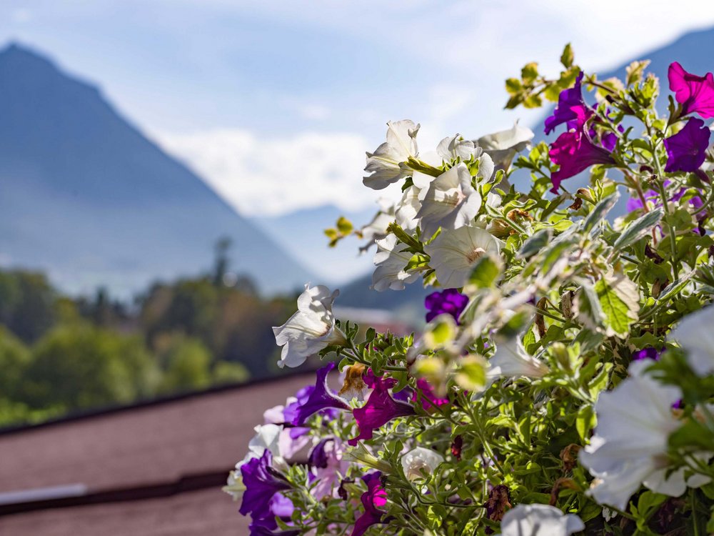4-star hotel on Lake Achensee in Pertisau 4-star hotel on Lake Achensee in Pertisau