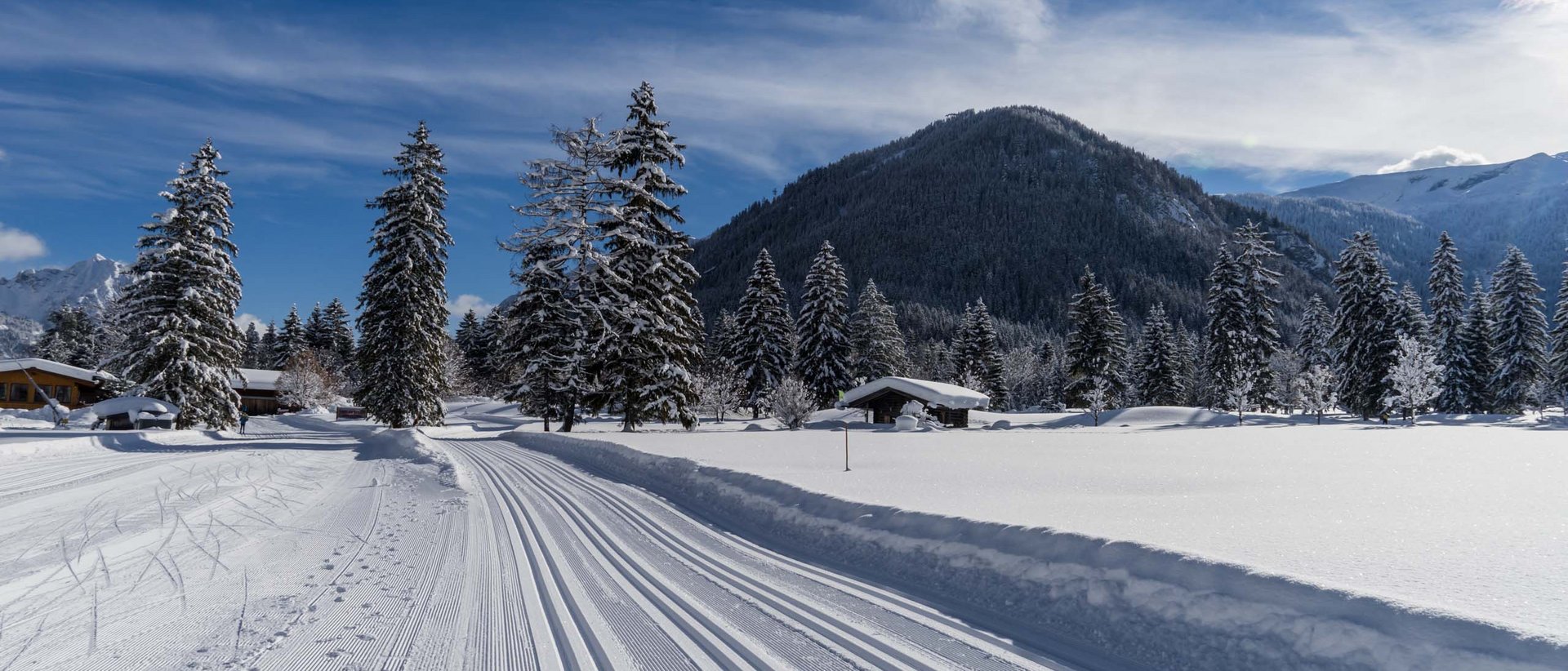 Ab auf die Loipen! Präparierte Langlaufloipe im verschneiten Bergwald unter klarem Himmel