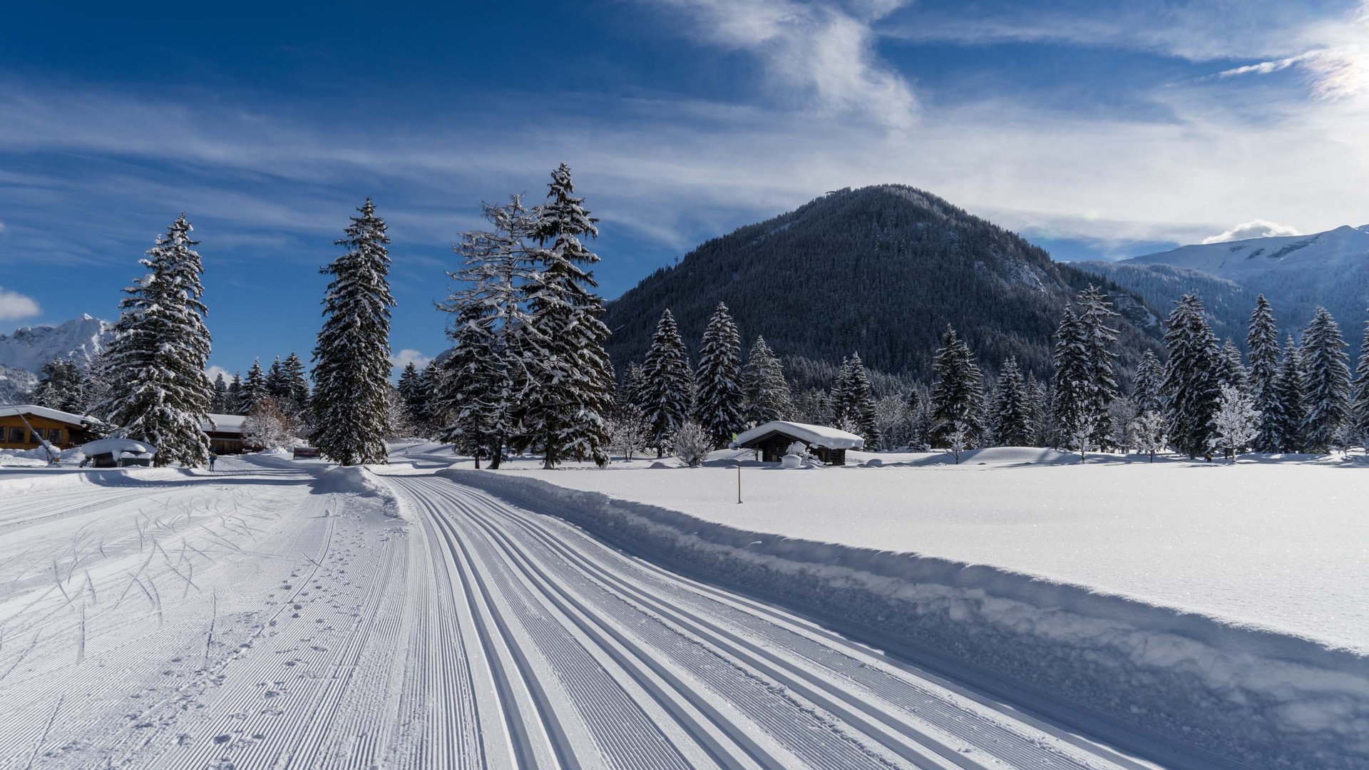 Skifahren am Achensee und mehr Präparierte Langlaufloipe im verschneiten Bergwald unter klarem Himmel