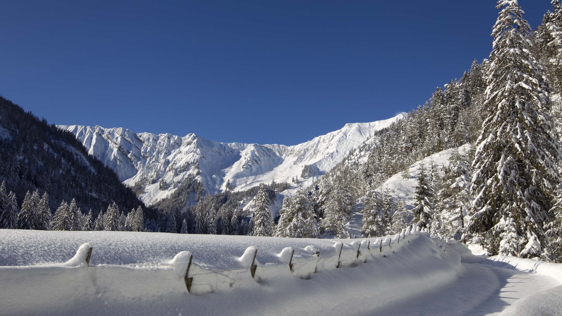 Skifahren am Achensee und mehr Schneebedeckte Straße und Bäume in den Bergen bei klarem Himmel