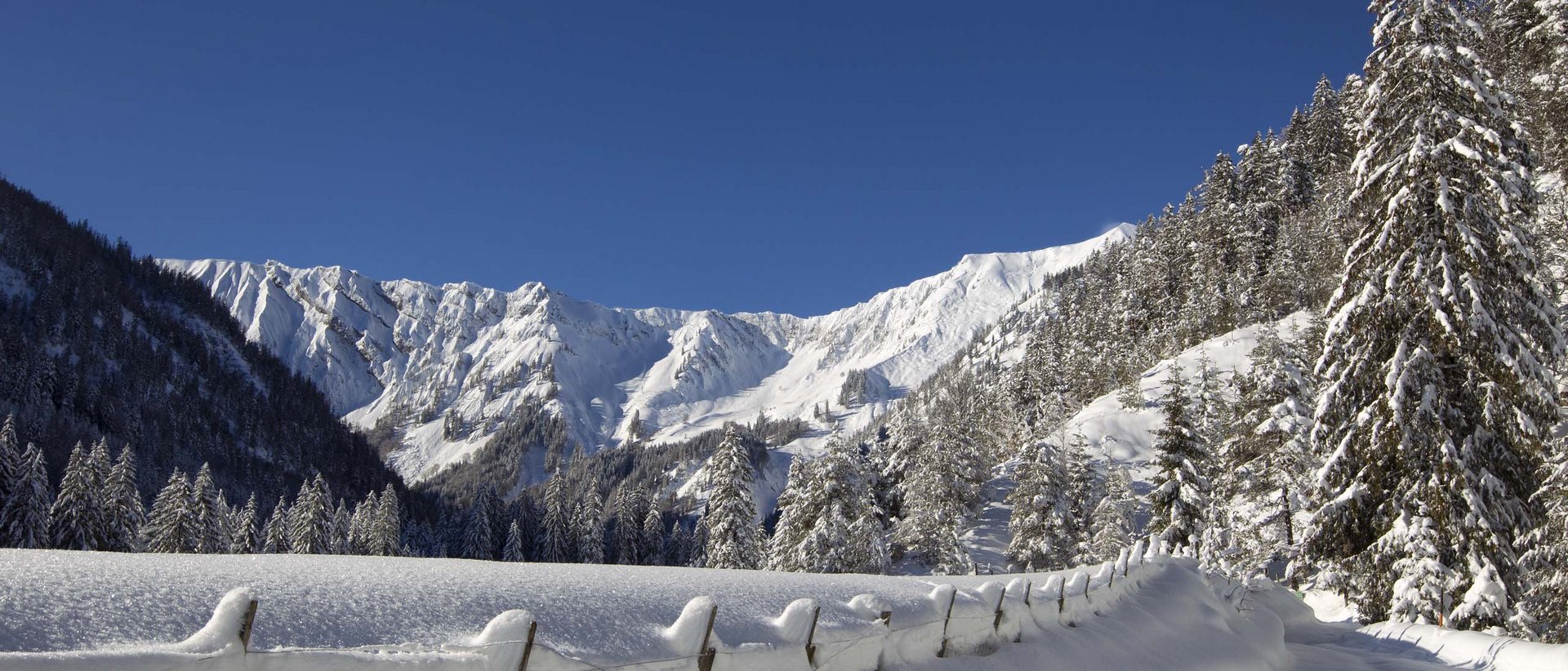 Skifahren auf dem Zwölferkopf Schneebedeckte Straße und Bäume in den Bergen bei klarem Himmel